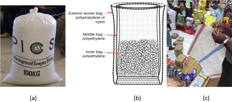 A safer future for food storage: How simple bags could be transforming markets in West Africa